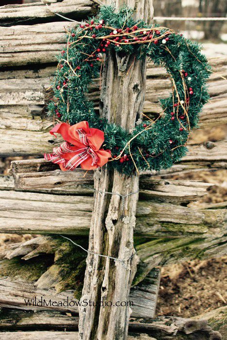 Wild Meadow Studio