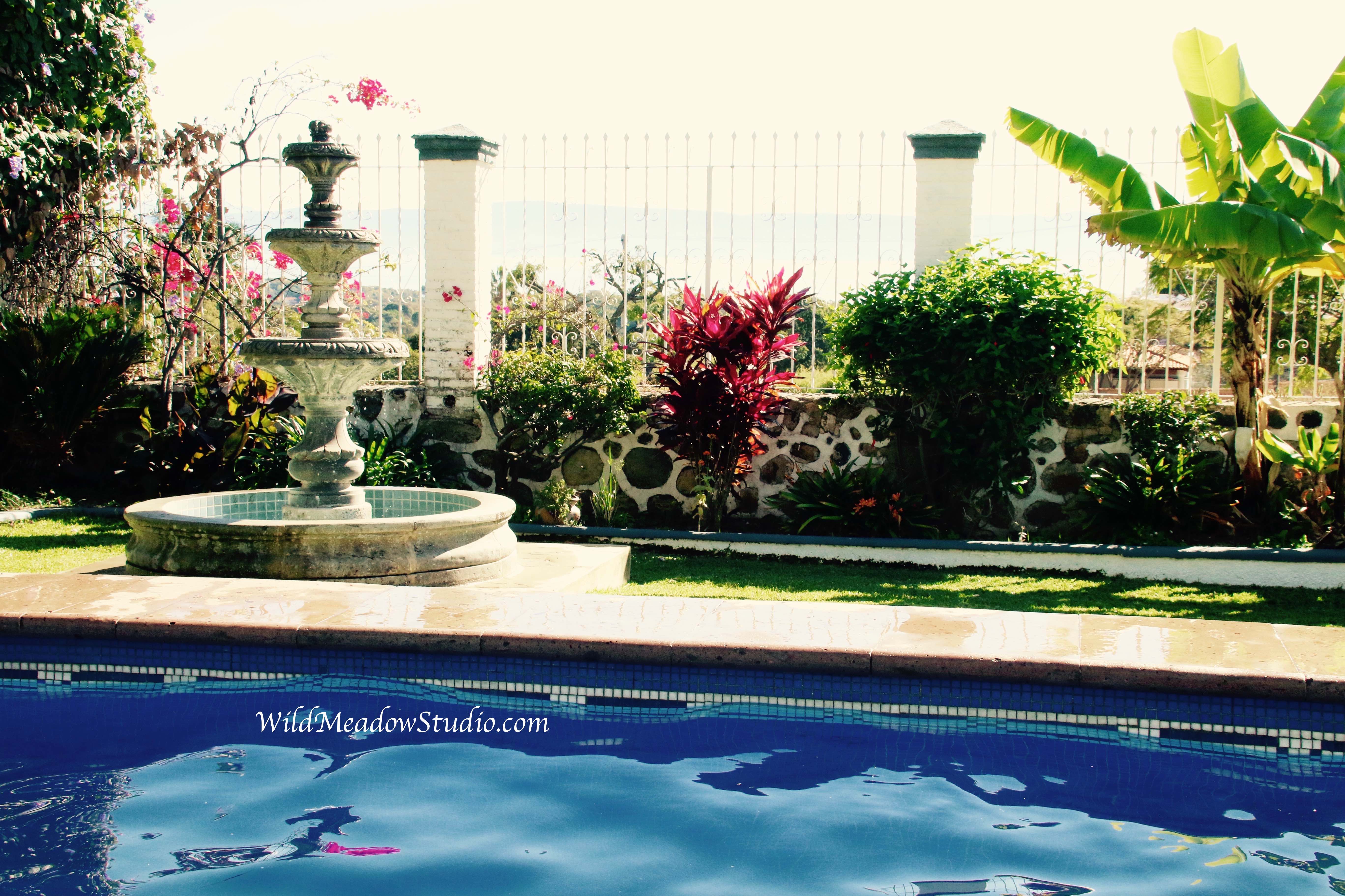 Wild Meadow Studio